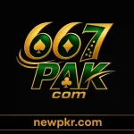 667PAK.com